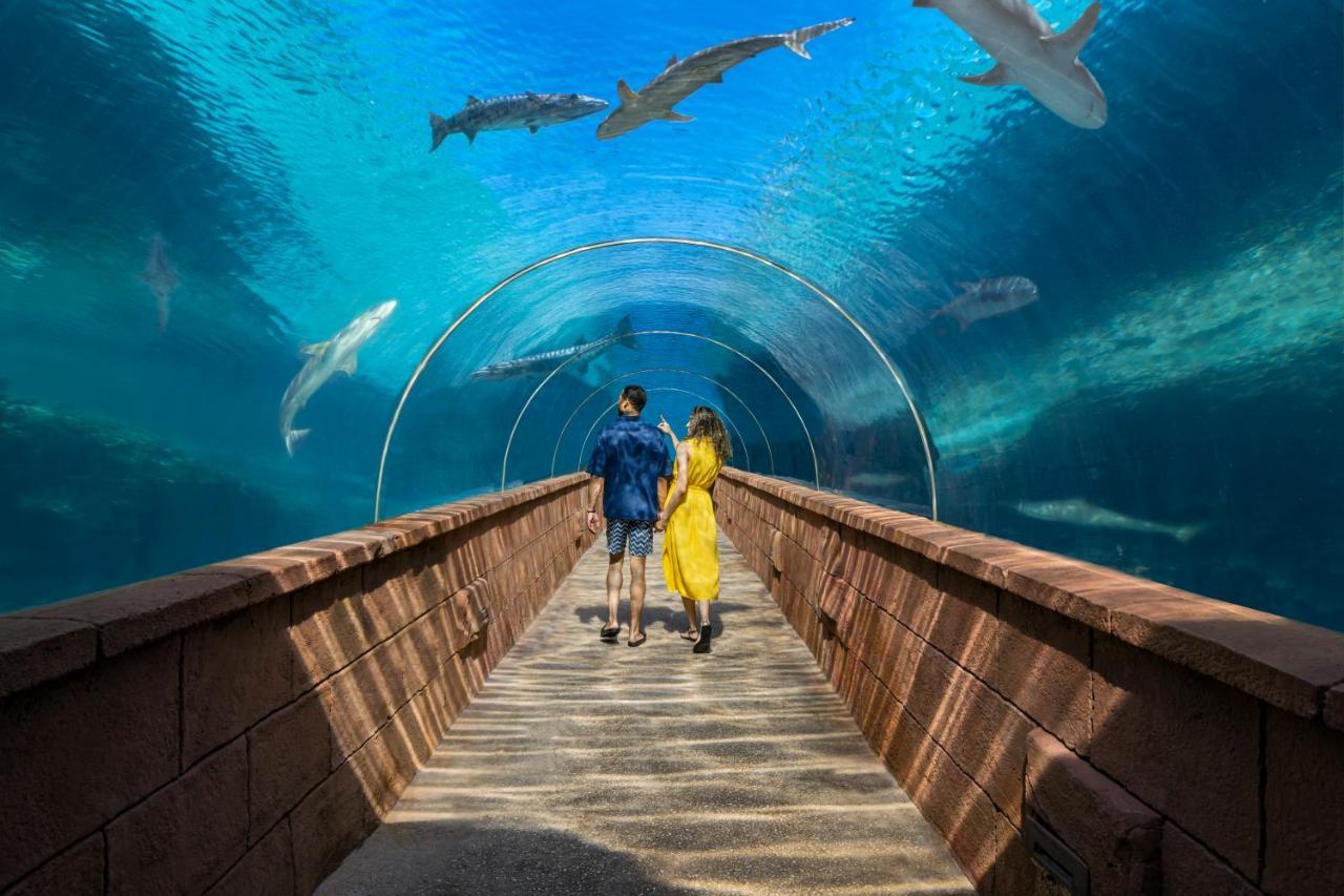 The Coral At Atlantis Hotel Nassau Exterior foto